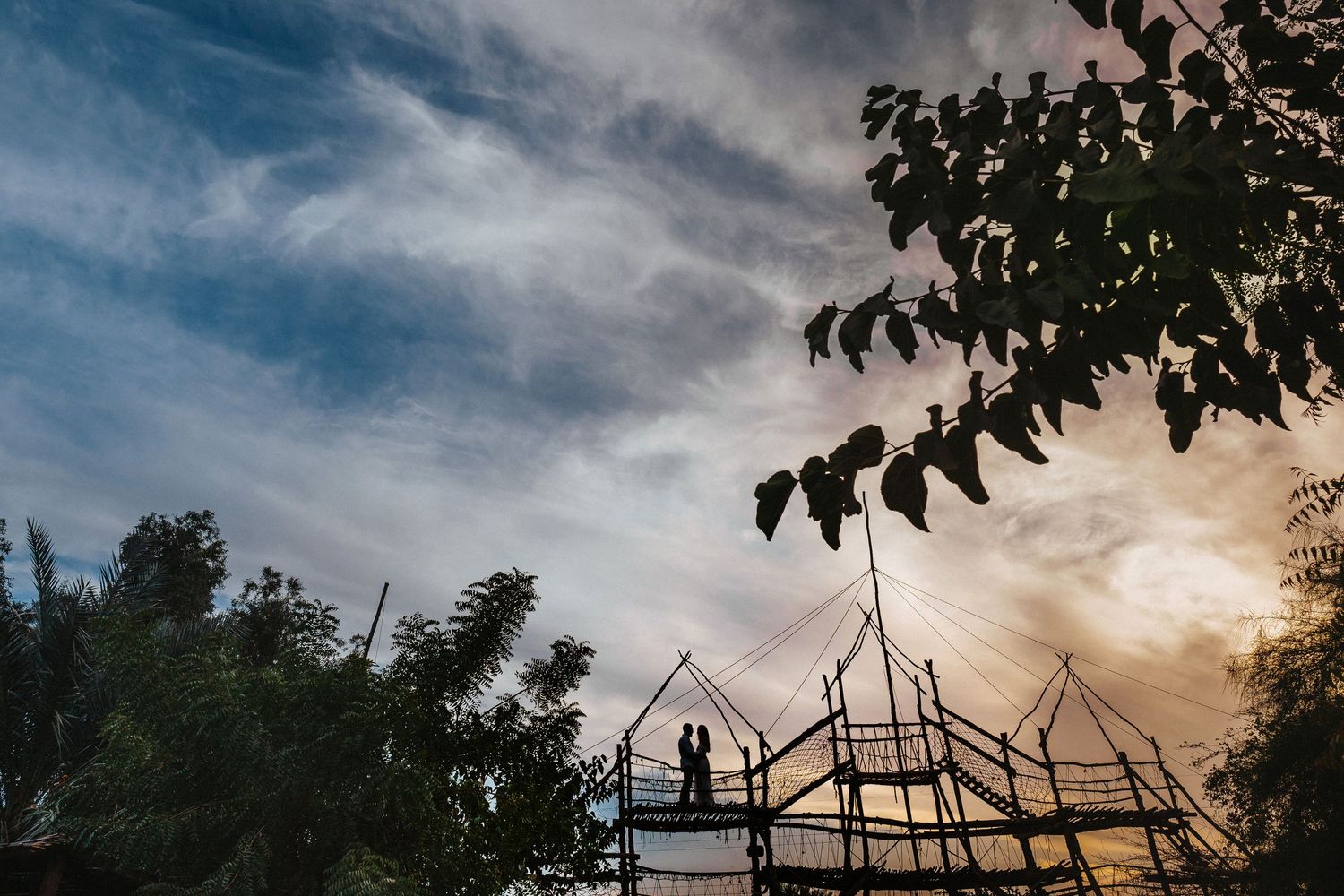Dramatic sunset sky with dark tree silhouettes creating moody atmosphere.