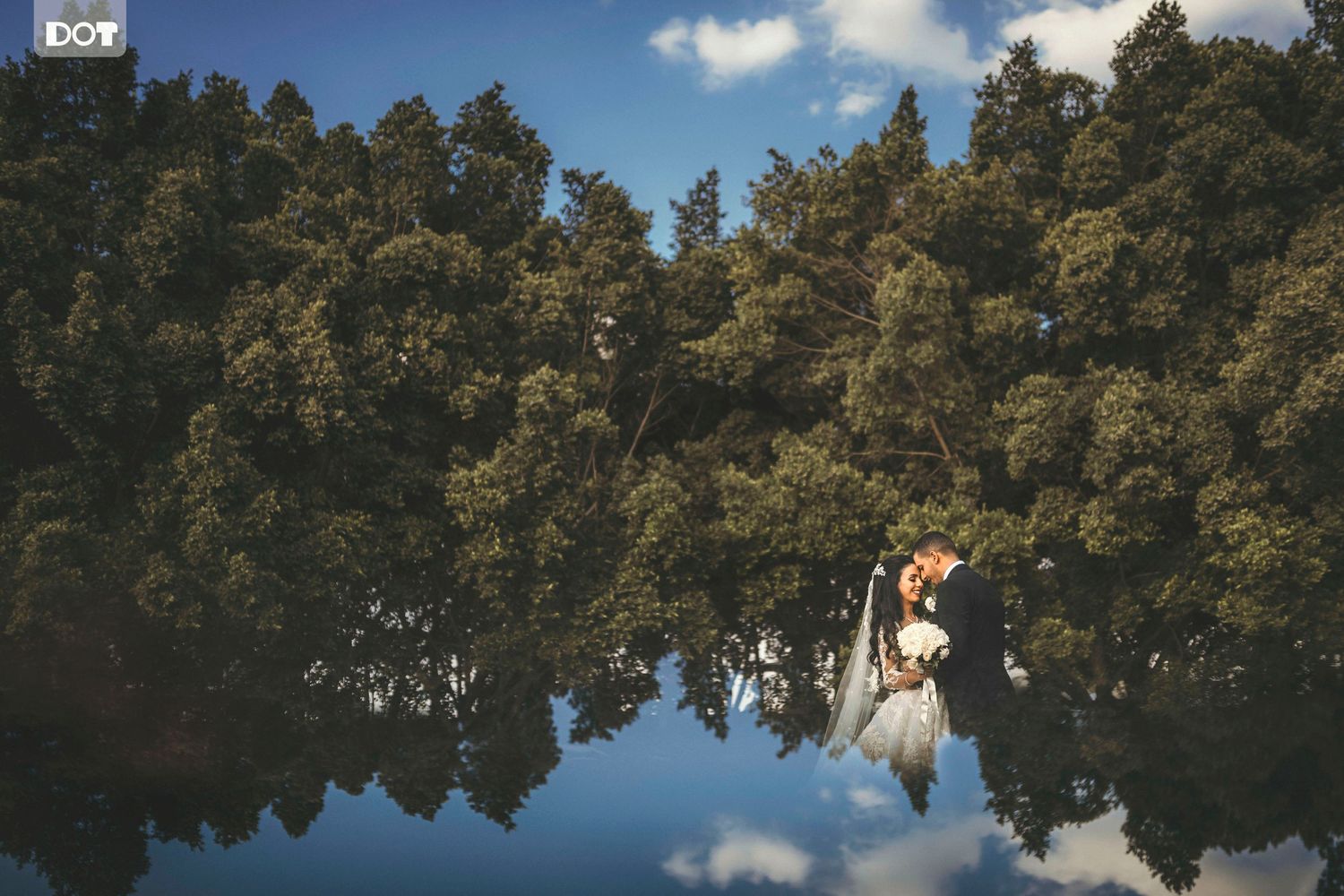 Serene lake reflects tall trees under blue sky with puffy white clouds.