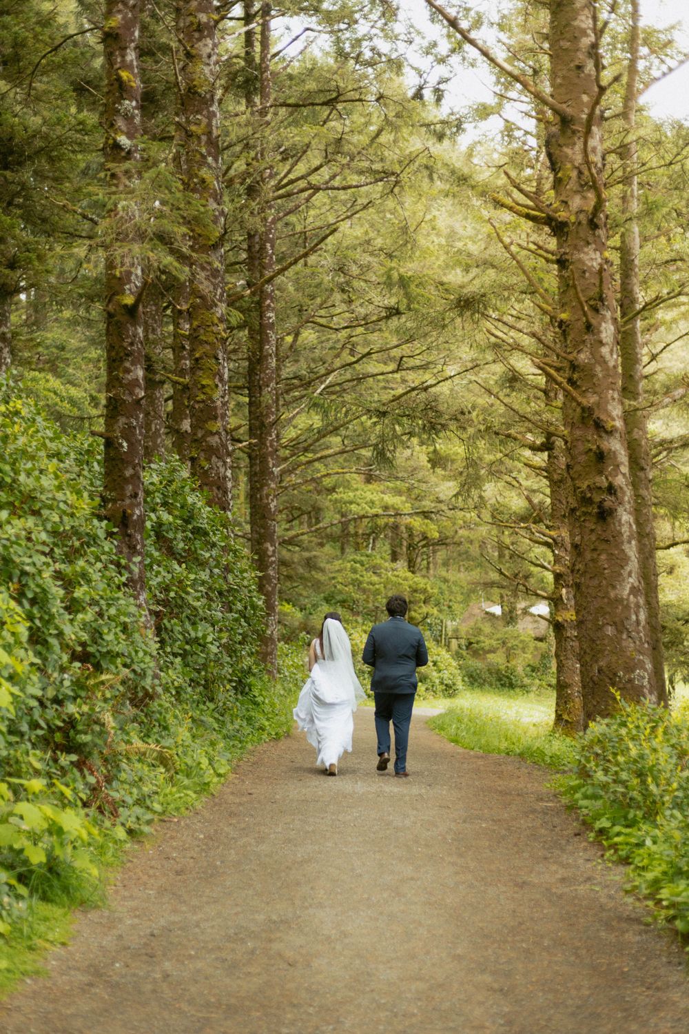 A tree-lined path through a peaceful forest with couples walking in the distance.