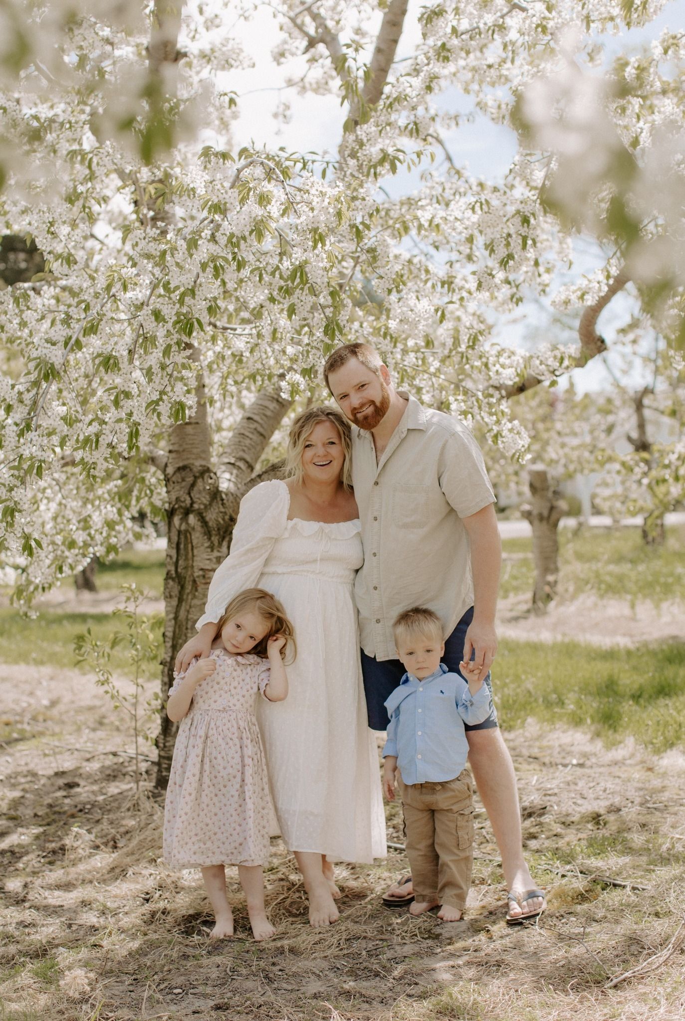 Family portrait under blooming cherry blossom tree in spring.