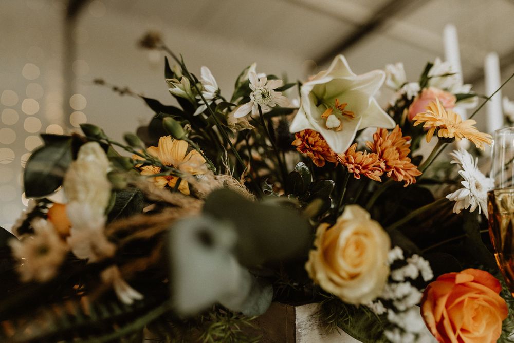 South Coast photographer, KwaZulu-Natal https://www.cheniqueslier.com/