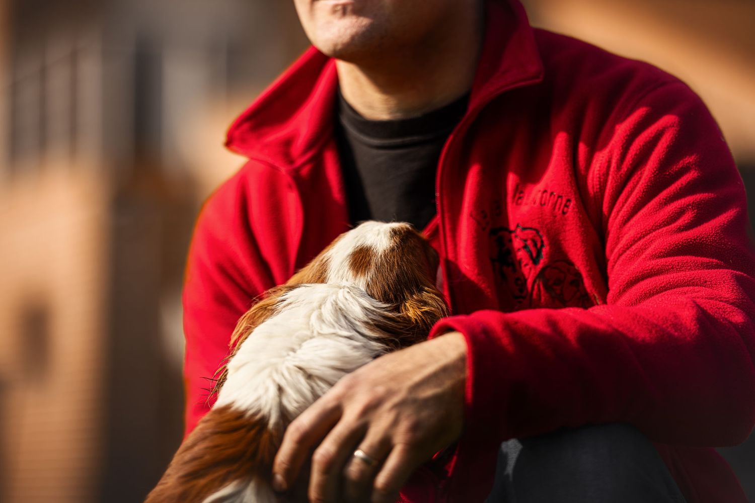 Small puppy being cradled and held in red jacket.