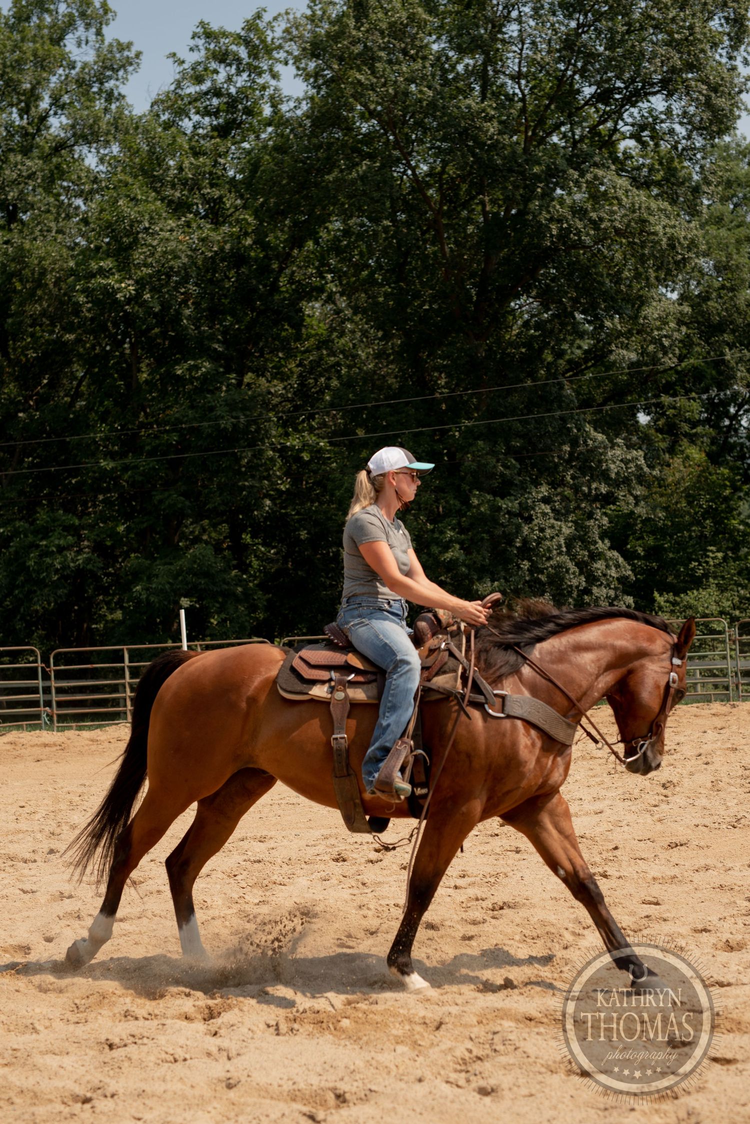 Chestnut horse moving at a controlled gait in sandy training arena with rider.