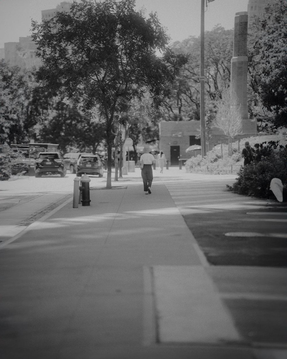 A black and white photo shows a person walking on a sidewalk lined with trees and parked cars.