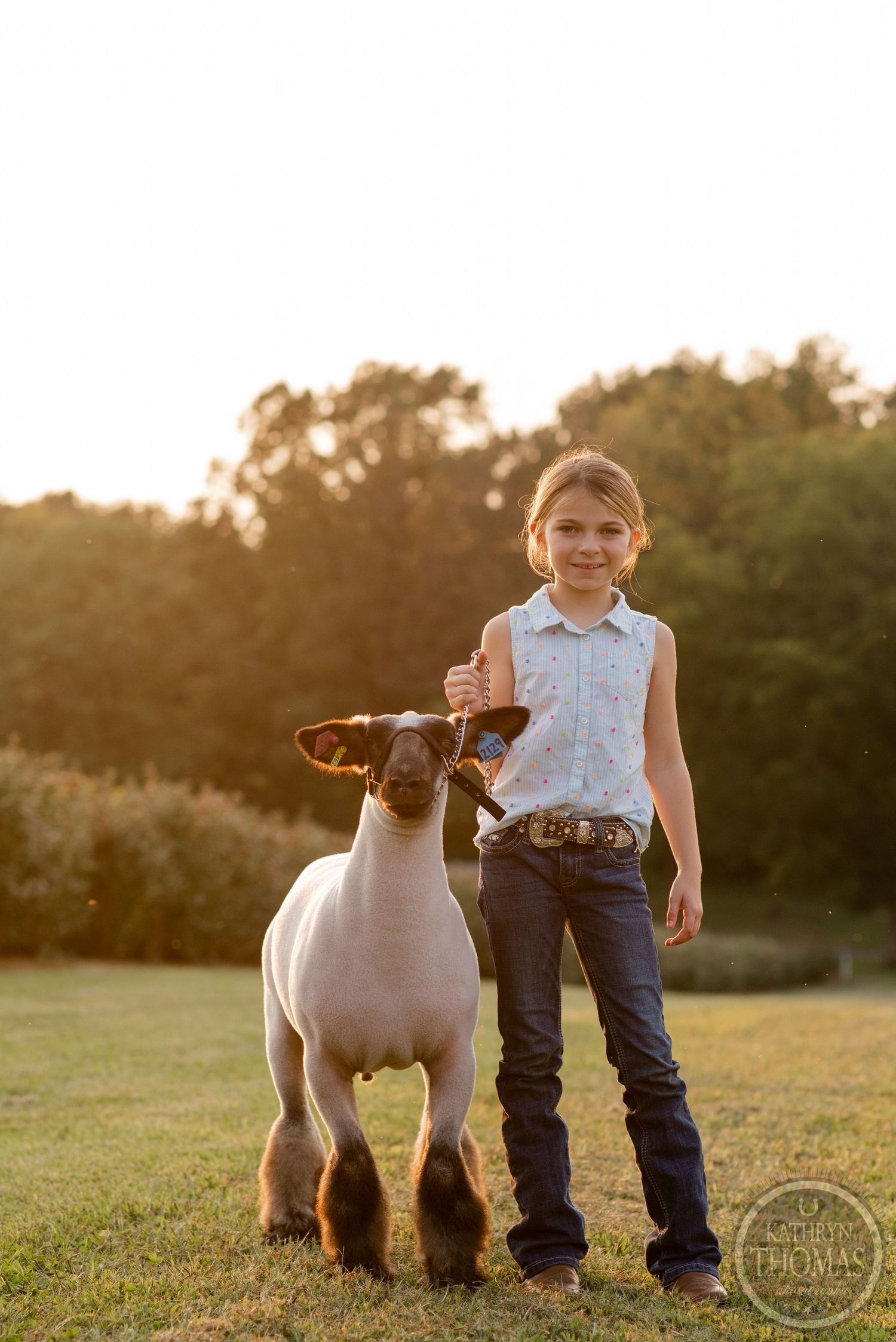 Young livestock enthusiast poses proudly with a show sheep in a sunlit pasture.