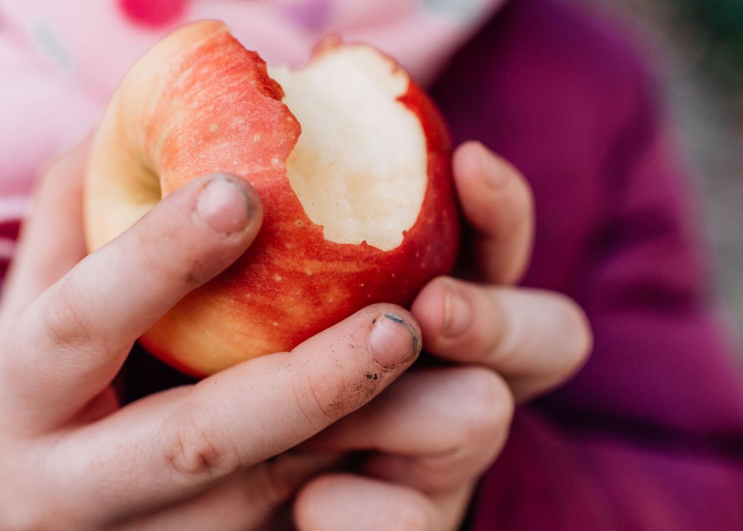 Closeup of hands holding a partially eaten red apple.
