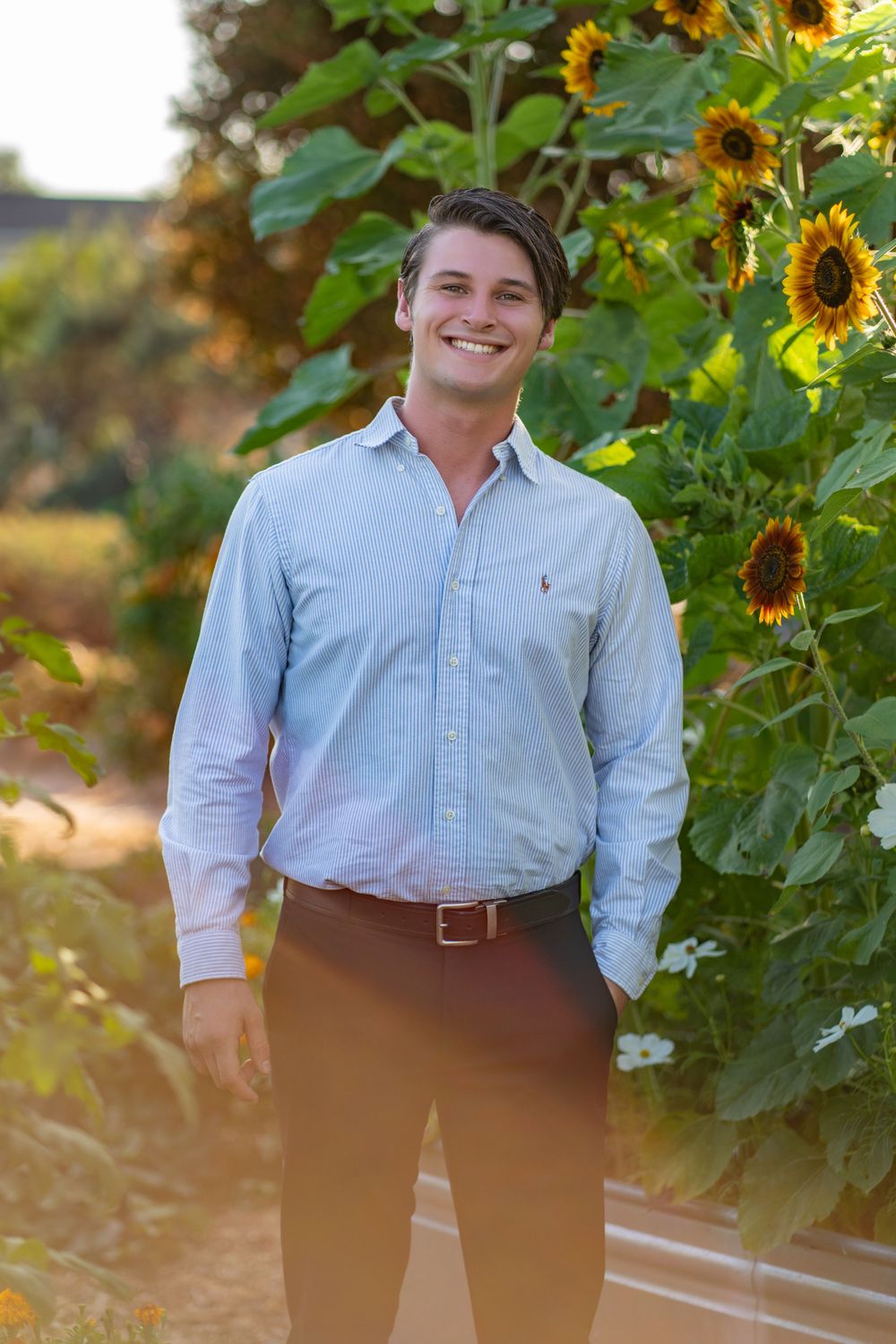 Rachel Aranico Photography, Lifestyle, Headshots, Young Man, Realtor, Sunflowers