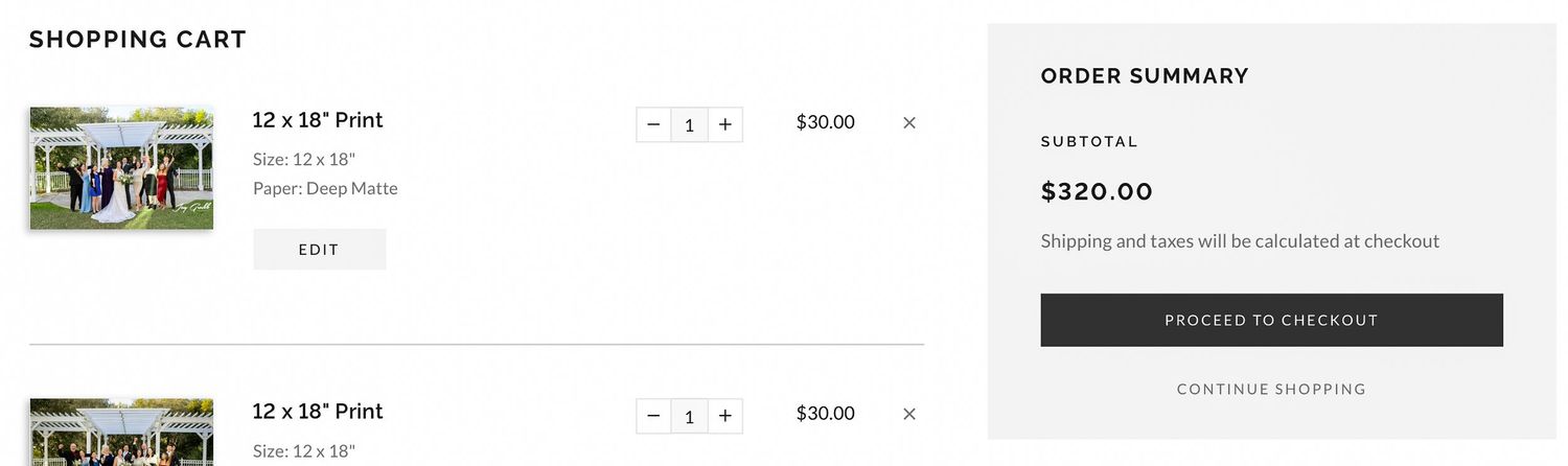 Screenshot of ecommerce shopping cart showing two sports-related items with quantity selectors and order summary total.