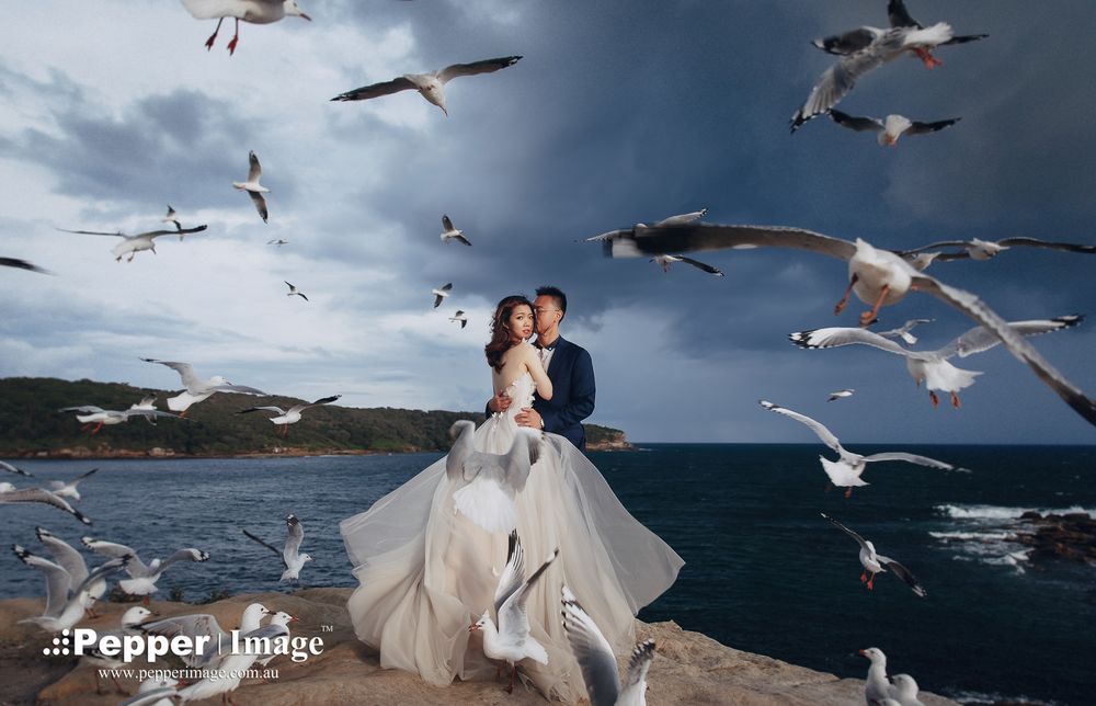 Couple embracing on rocky coastline surrounded by seagulls in flight under dramatic sky.