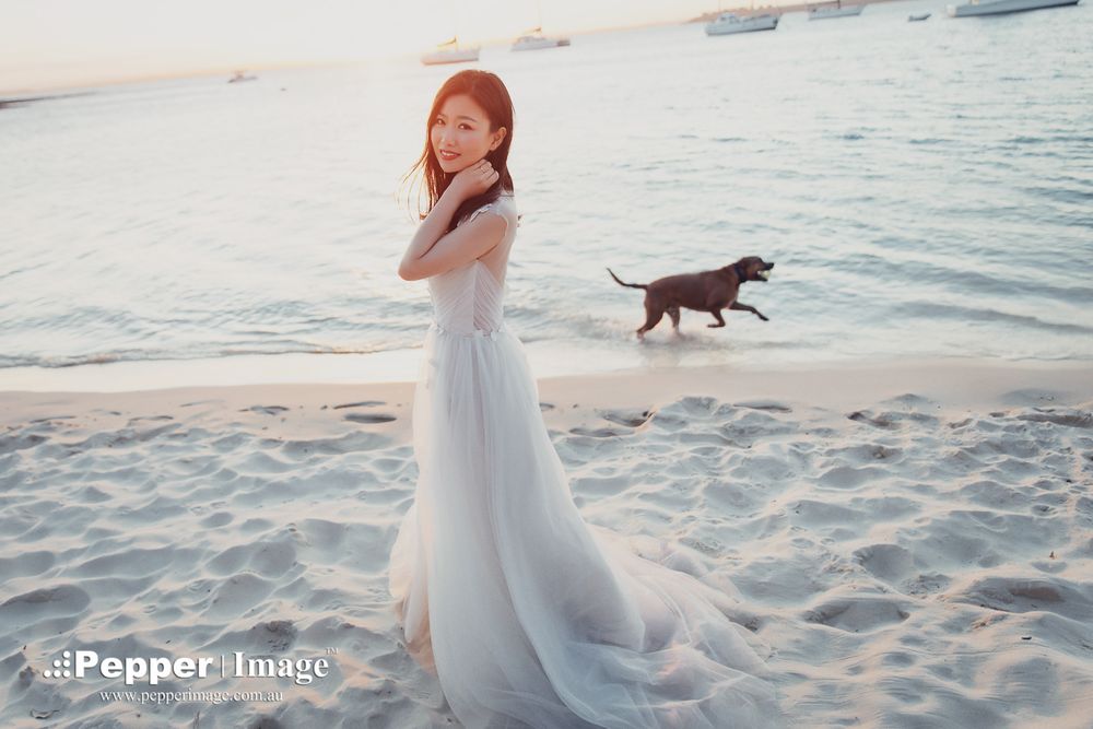 Bride in white gown on sandy beach with dog running in background at sunset.