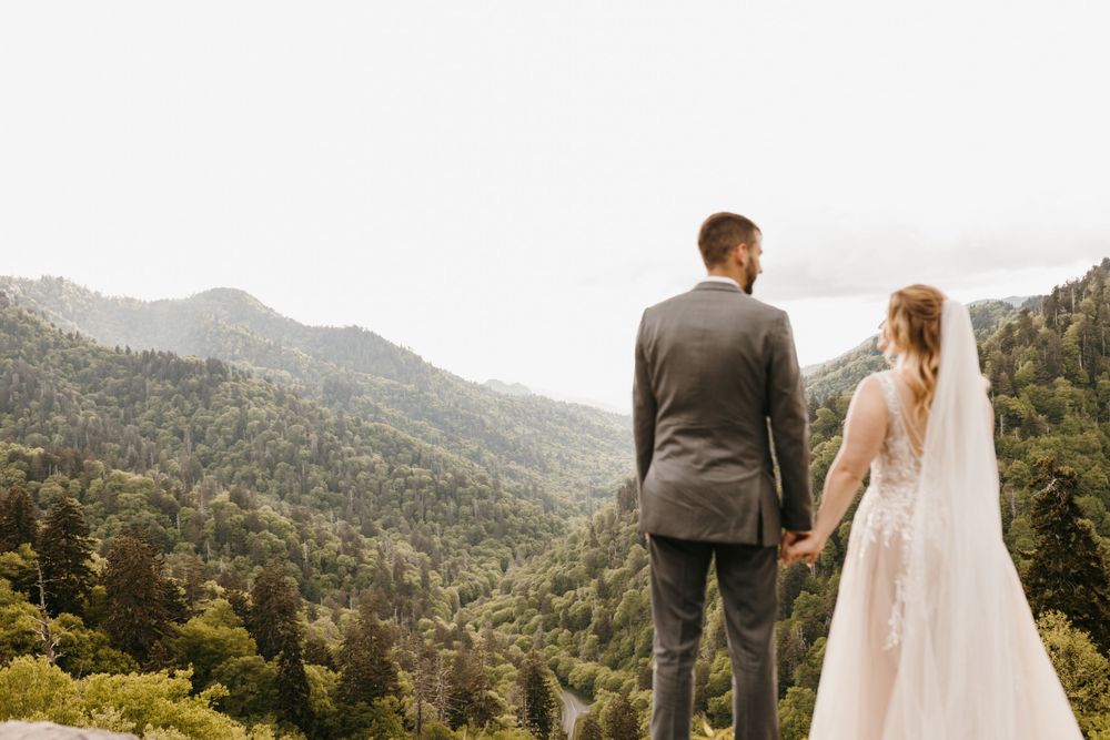 Wedding couple holding hands overlooking beautiful forested mountain landscape.