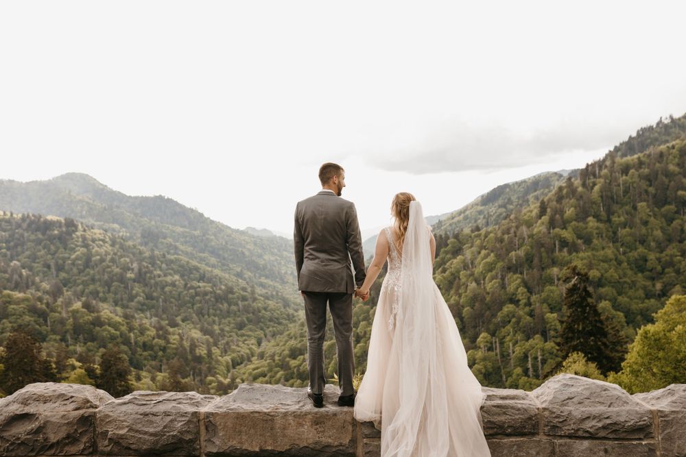 Newlyweds holding hands while gazing at stunning mountain views together.