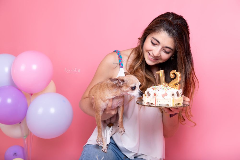Fotografía canina