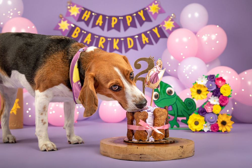 Fotografía canina