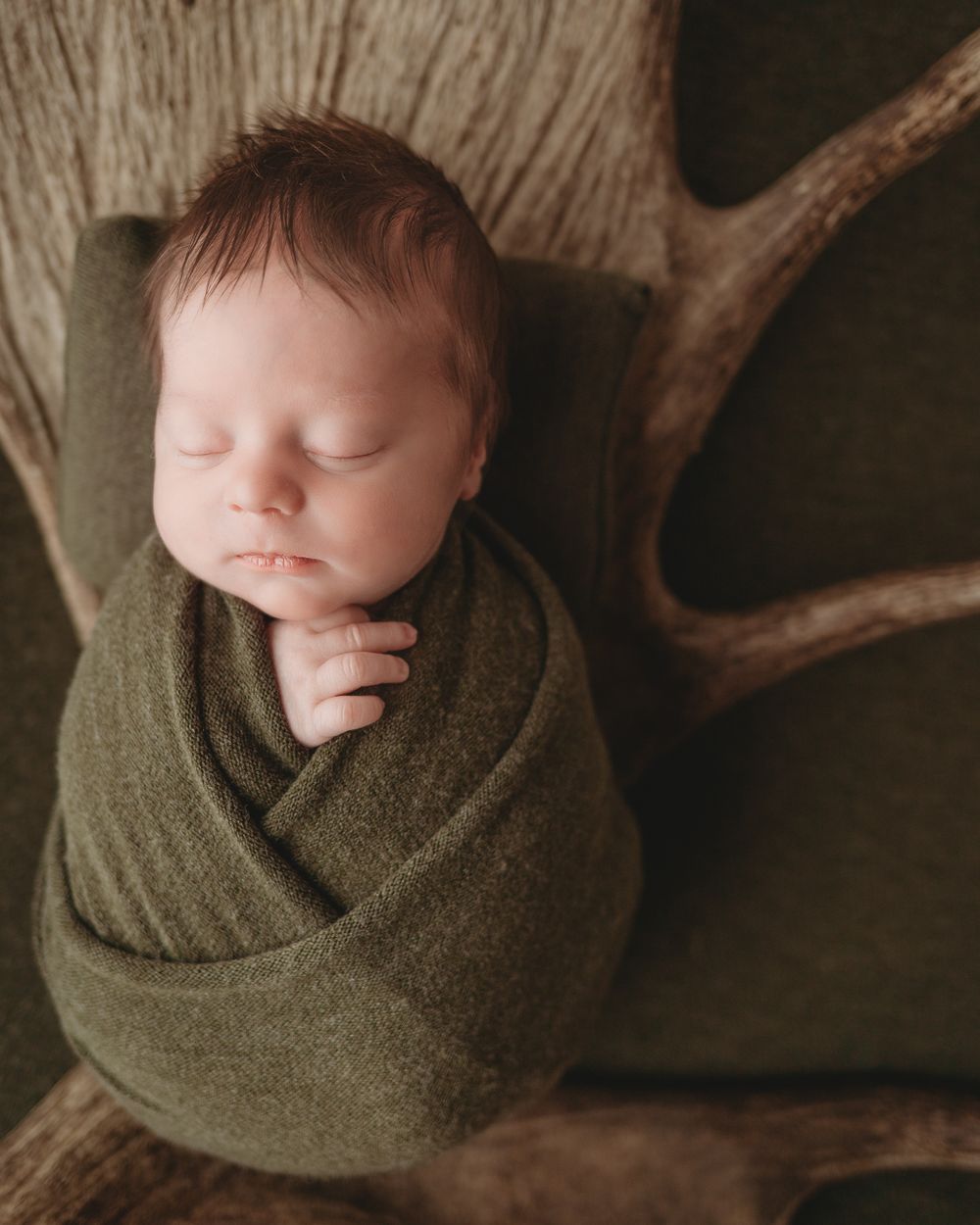 Professional newborn photo on antler