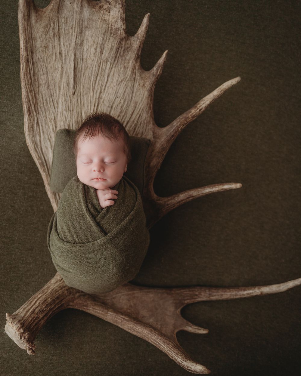 Professional newborn photo on antler