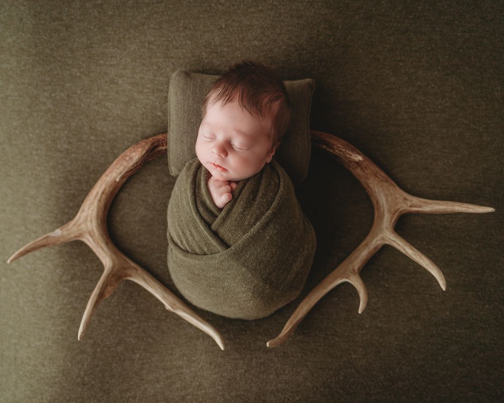 Professional newborn photo with antlers