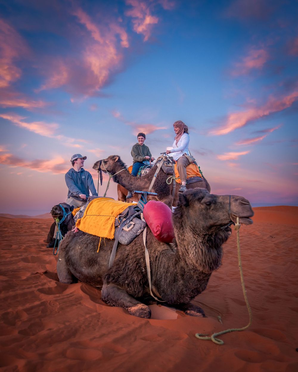 Group poses on decorated camels in desert landscape under dramatic pink and blue sky.