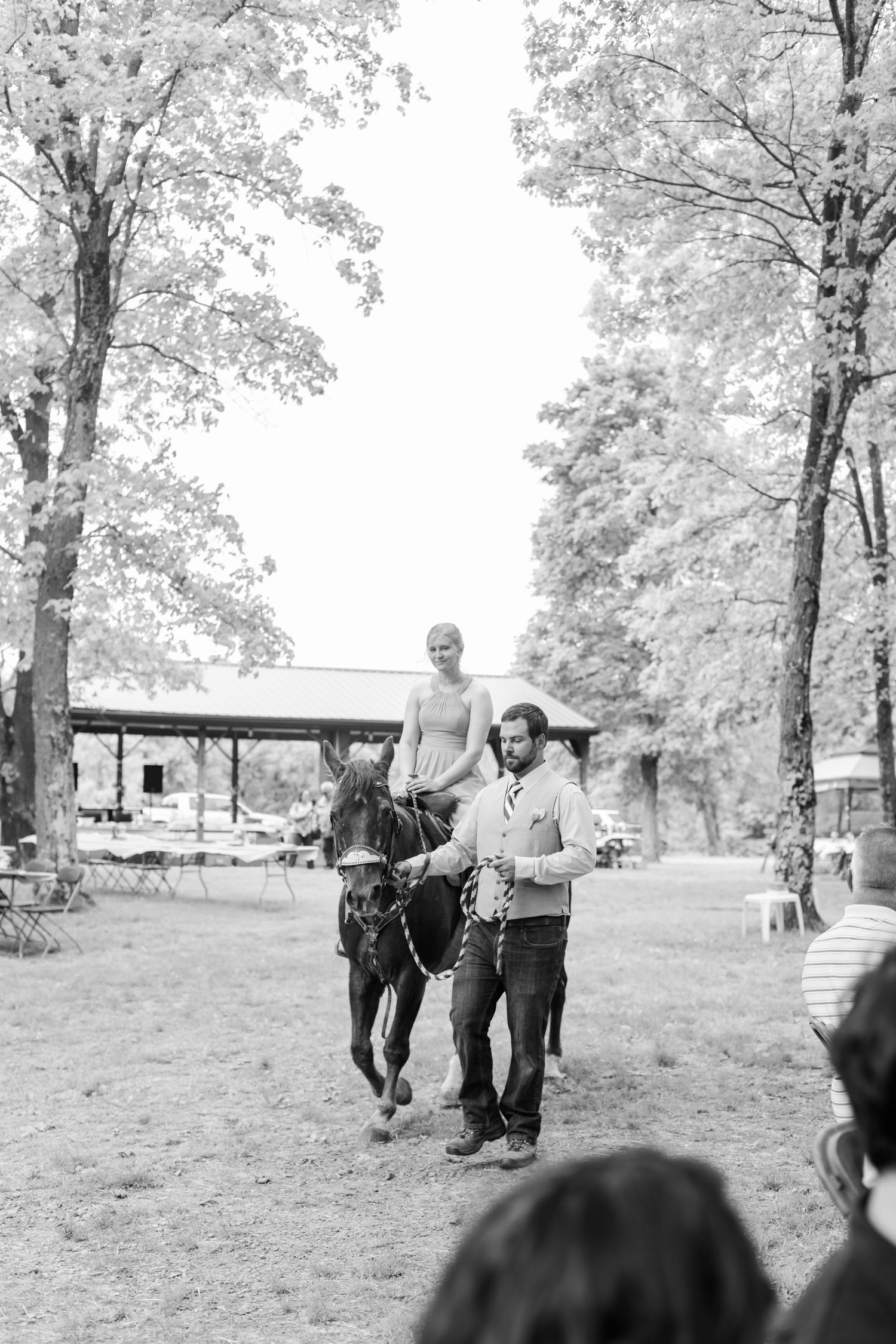 A horse being led along a tree-lined path at an outdoor event.