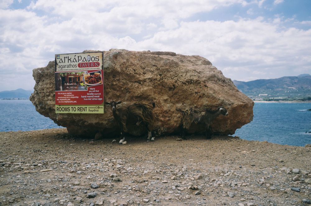 Rocky beach landscape with large boulders and warning signs against a blue ocean backdrop.