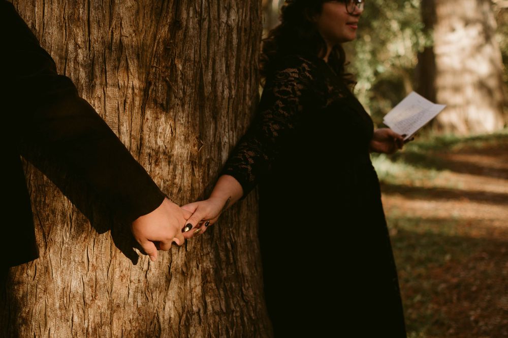 Close-up of hands touching a tree trunk with someone holding paper in the background.