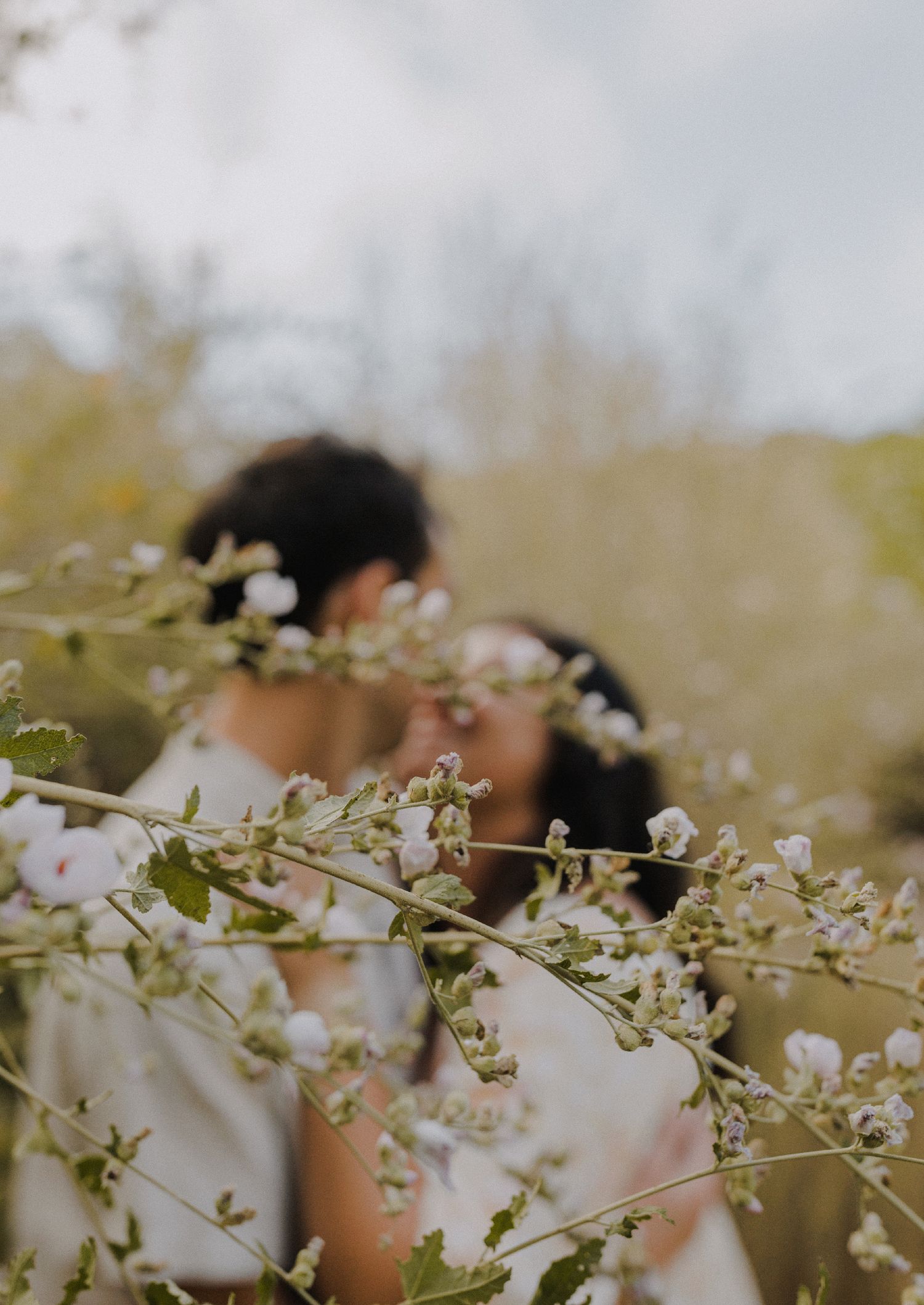 E. Noelle Photography couple photography in the Los Angeles Malibu hills out of focus kissing