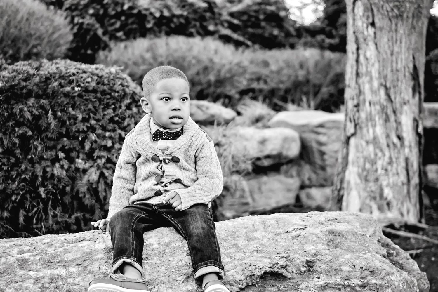 louisville family photography toddler boy fall papa johns park waterfall orange leaves rock