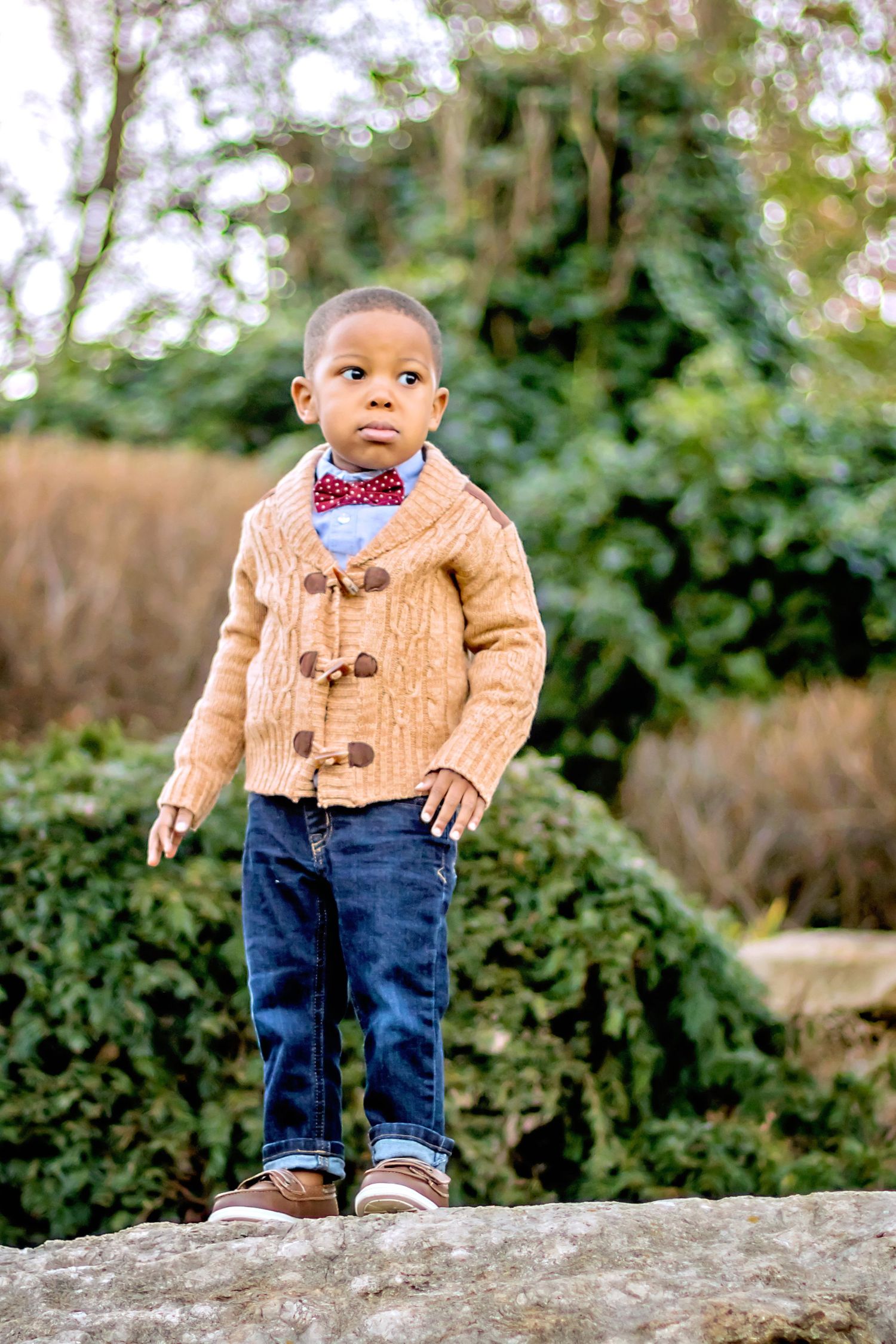louisville family photography toddler boy fall papa johns park waterfall orange leaves rock