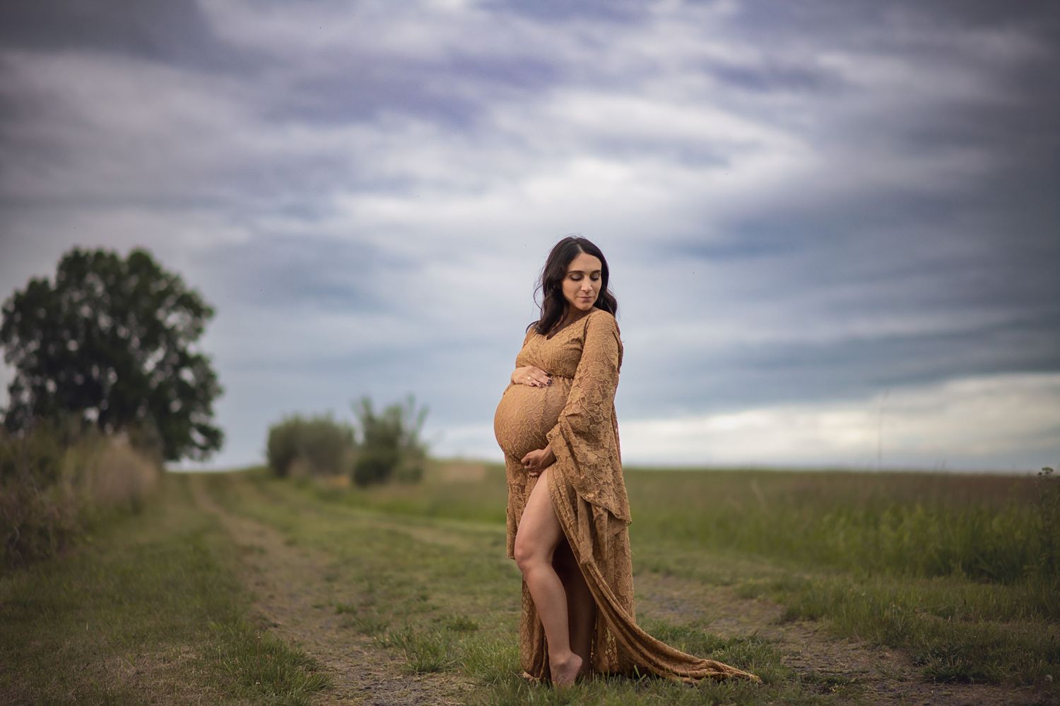 A maternity photoshoot in a serene field with dramatic cloudy skies and flowing brown dress.