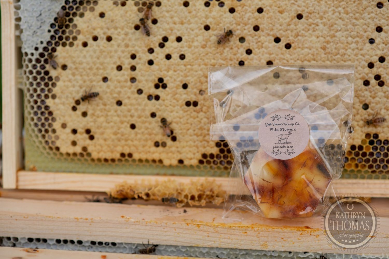 A small clear plastic bag of honey products shown in front of a honeycomb frame.