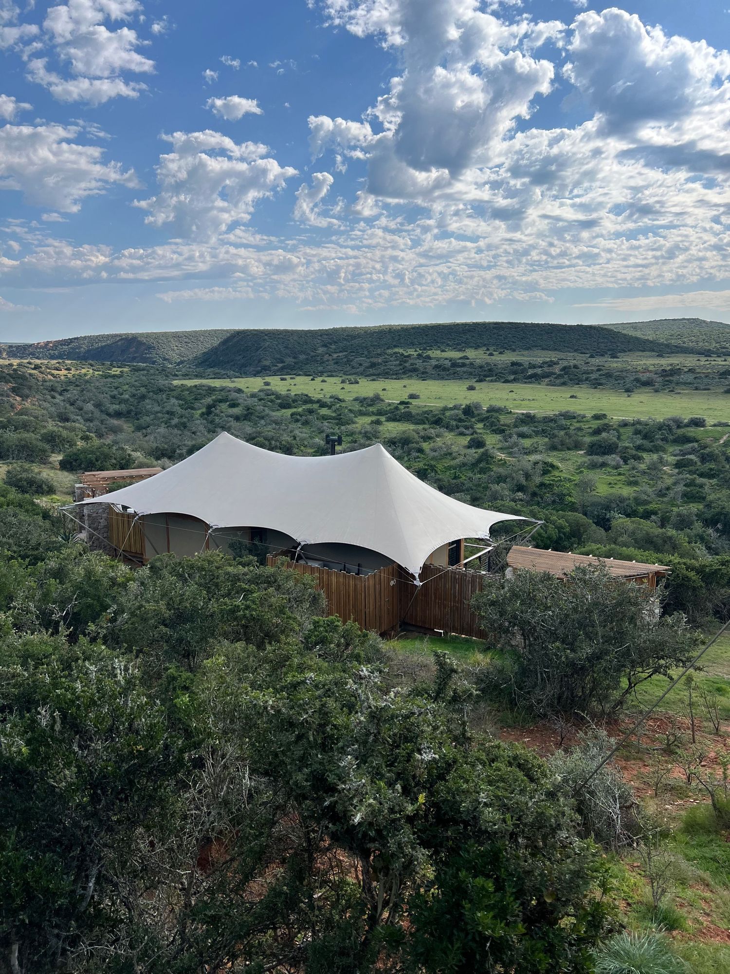 Luxury safari tents with white canopy roofs nestled in green African landscape.