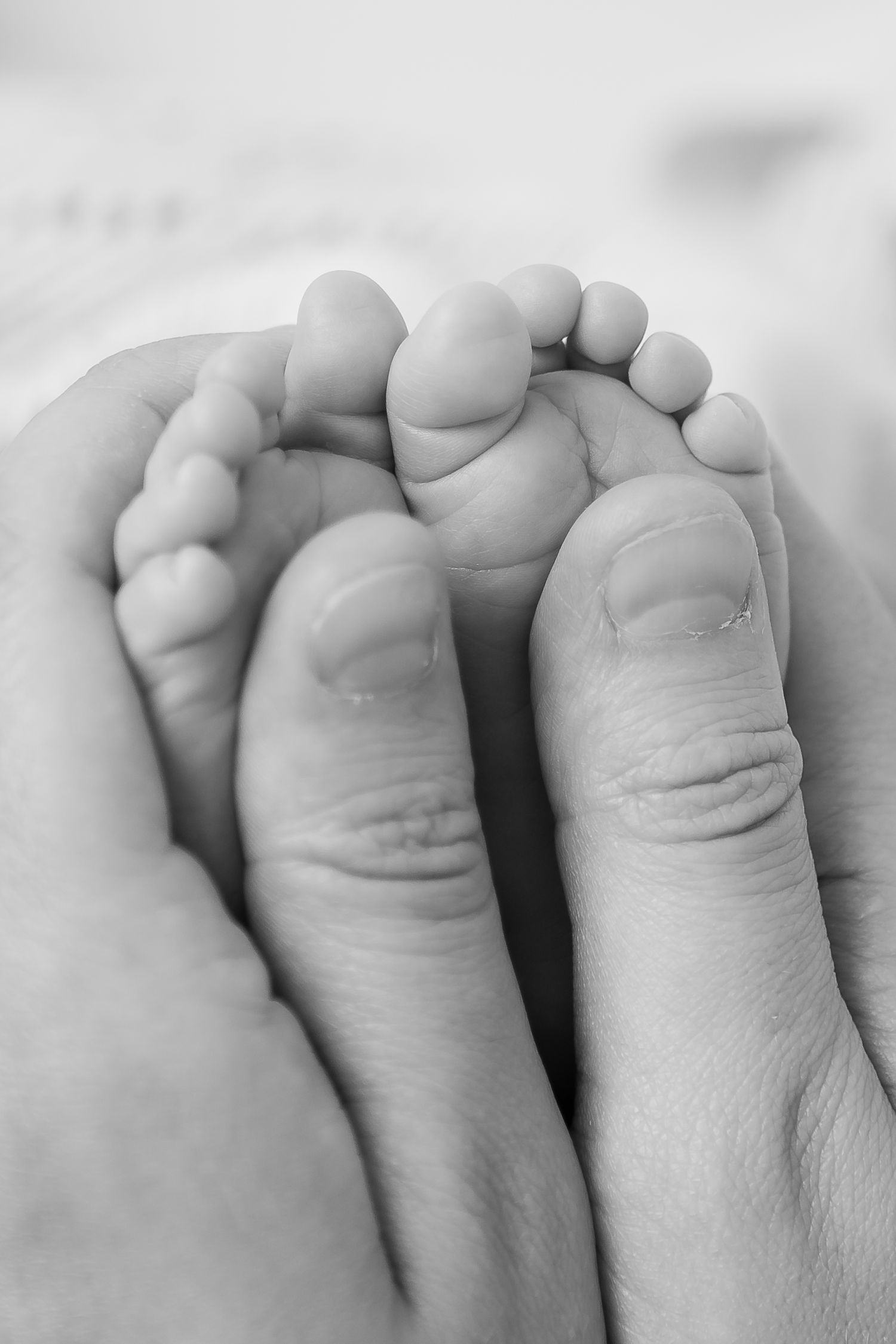 Close-up black and white photograph of baby feet nestled in parent's hands.