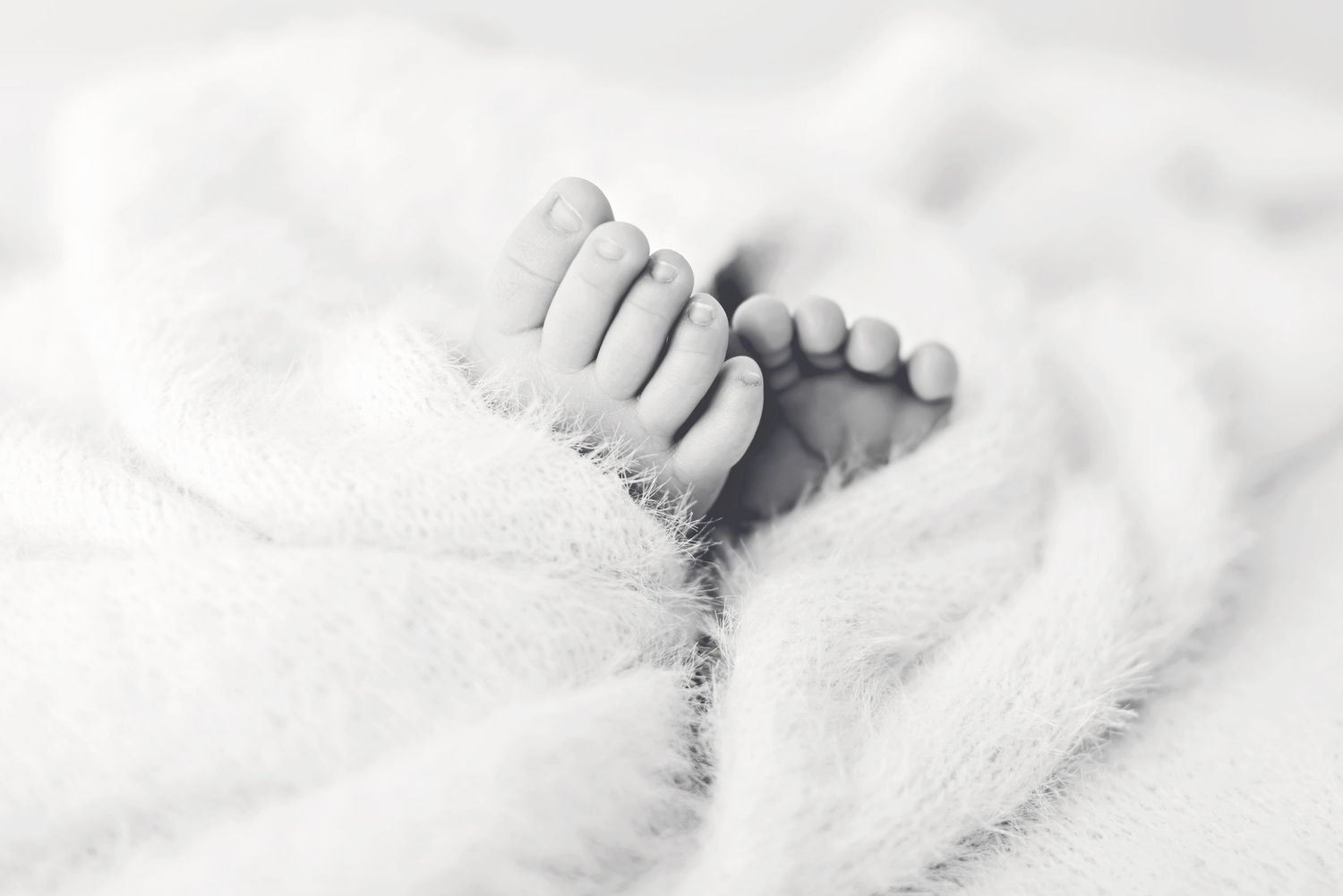 bop newborn photographer