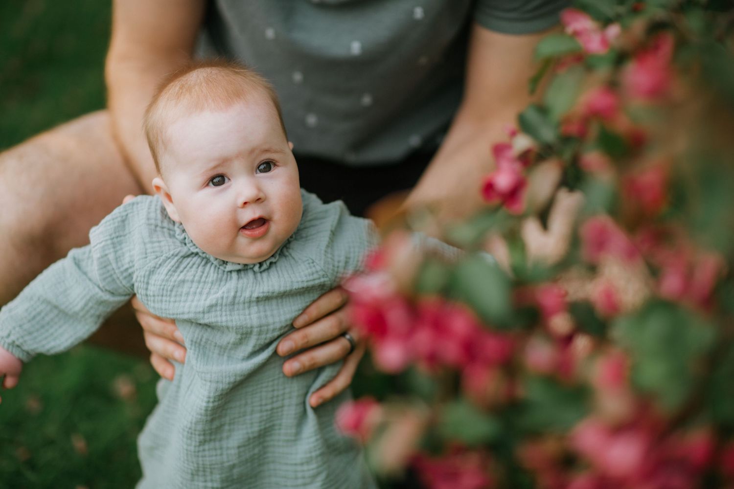 Baby in blue outfit smiles while being held near pink flowering bush.
