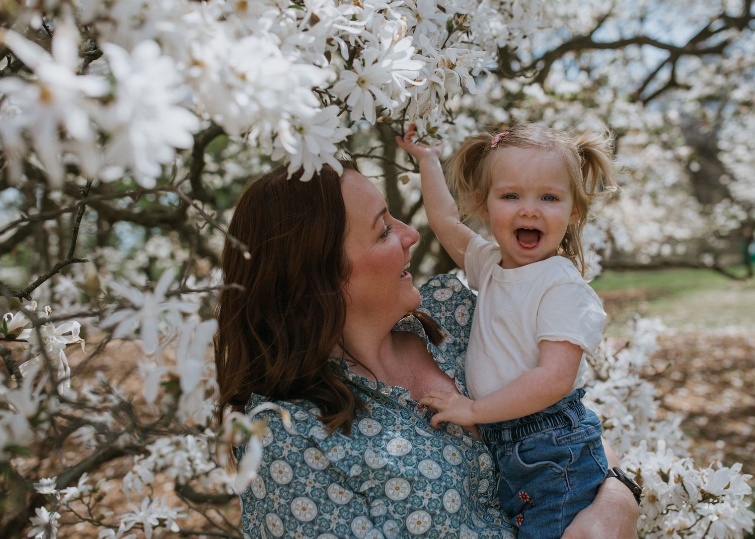 A tender springtime moment beneath blooming cherry blossom trees.