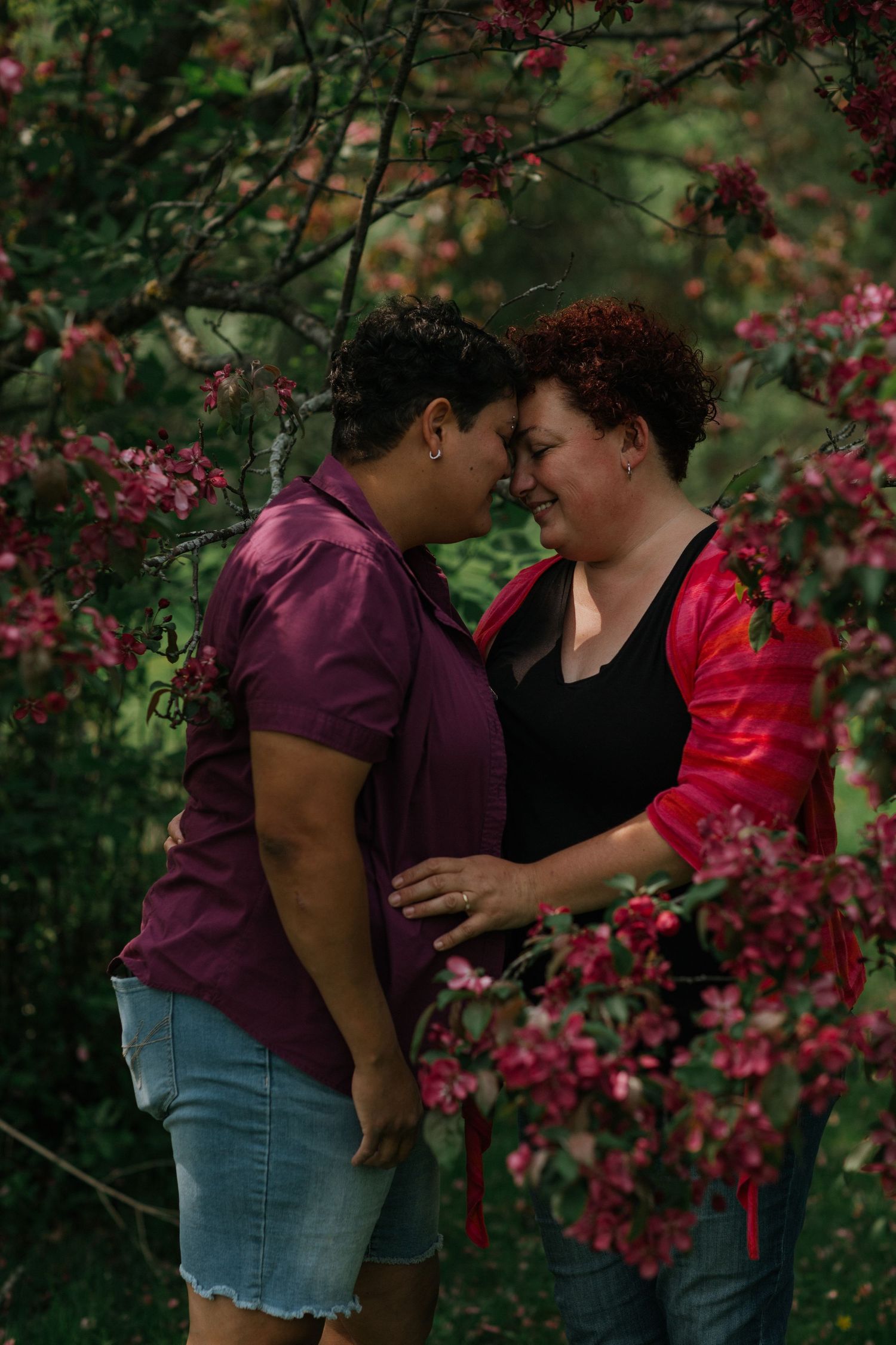 Couple sharing intimate moment among vibrant pink flowering branches in garden.