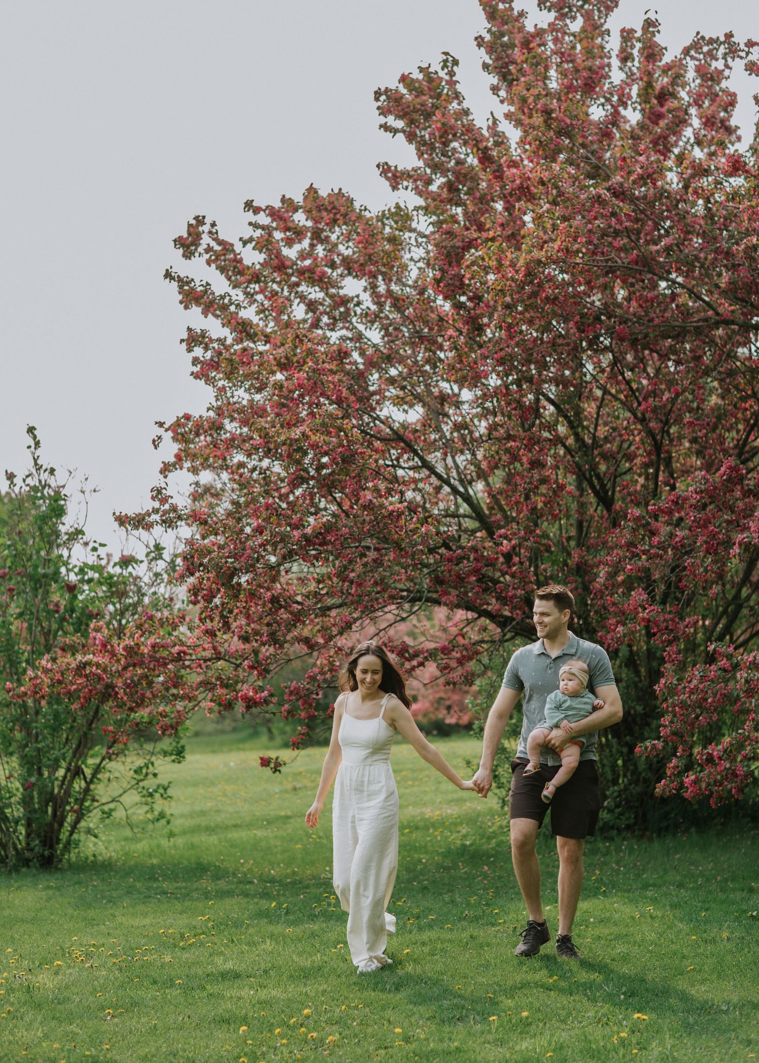 A couple walks hand in hand beneath pink flowering trees in a lush spring garden.