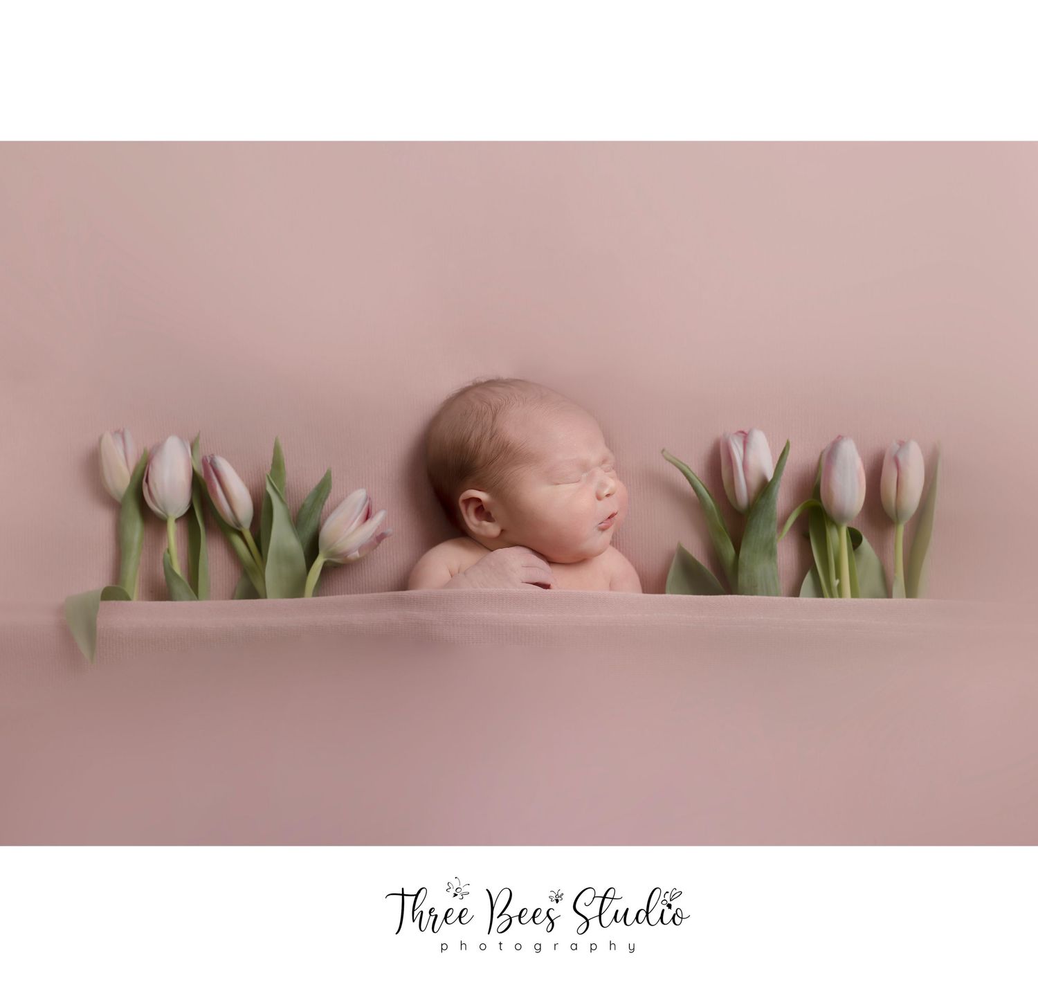 Artistic newborn portrait surrounded by pink tulips on soft rose background.