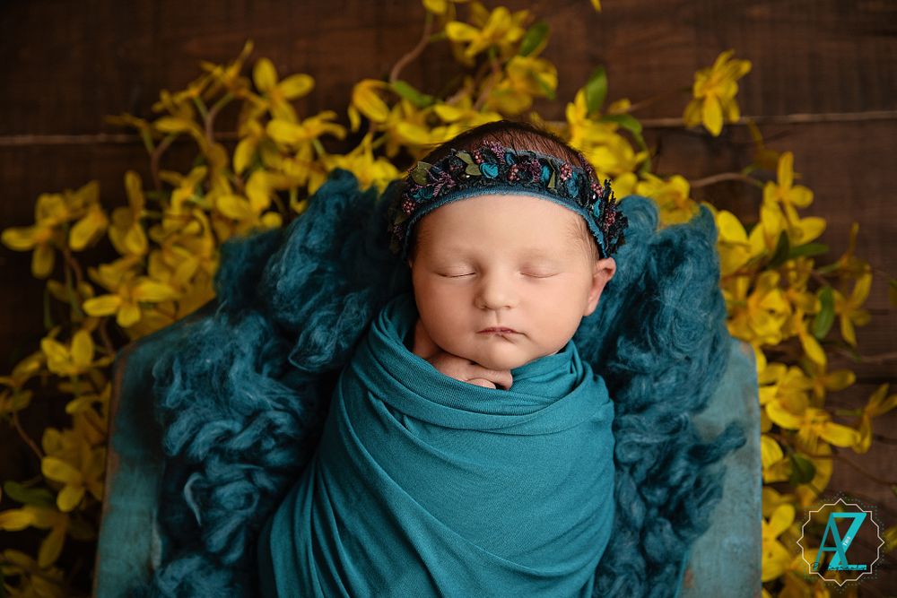 Newborn photography with teal swaddle and yellow forsythia flowers on dark wood backdrop.