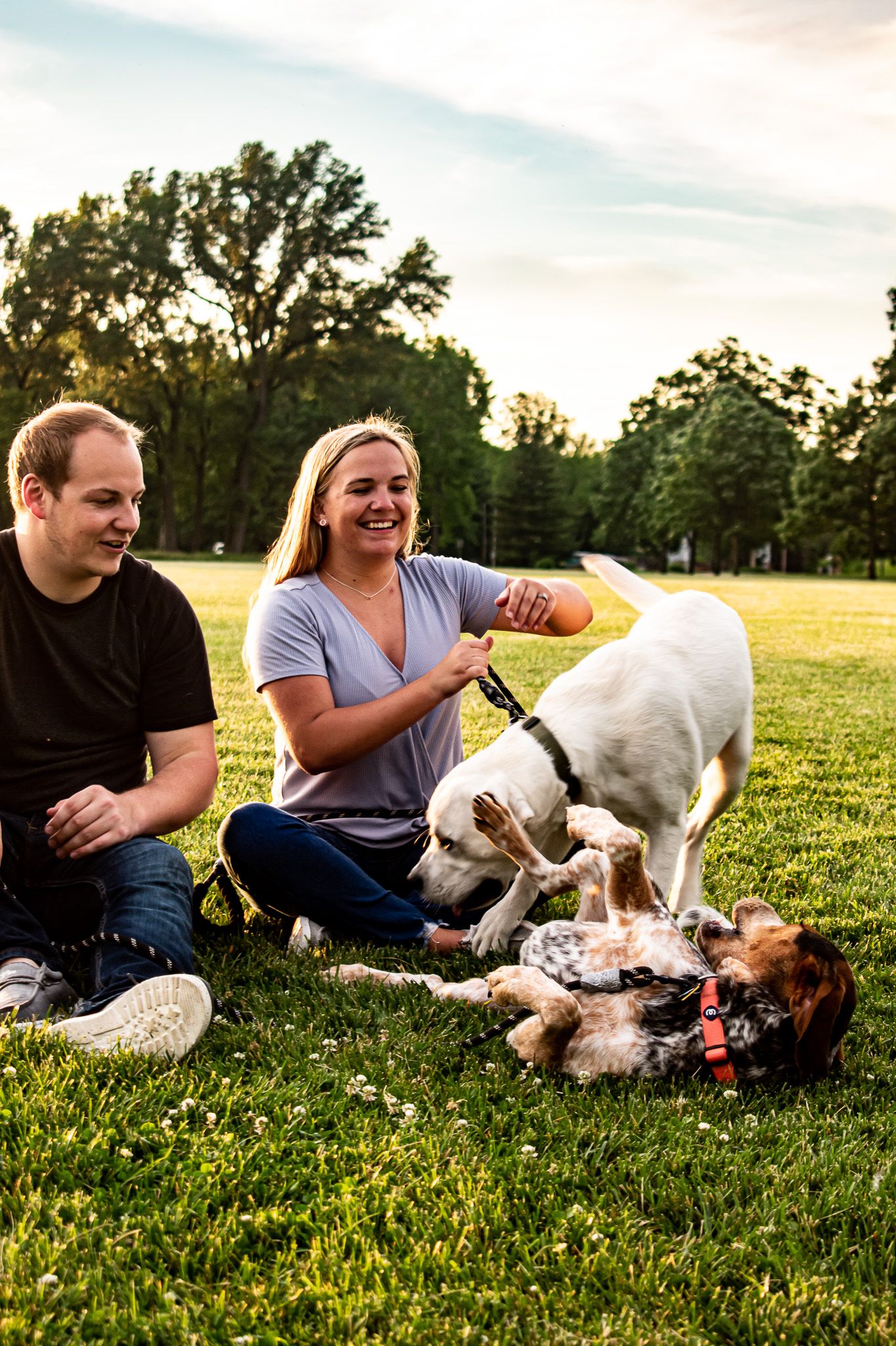 A couple relaxes on grass with their playful dogs during golden hour in a park setting.
