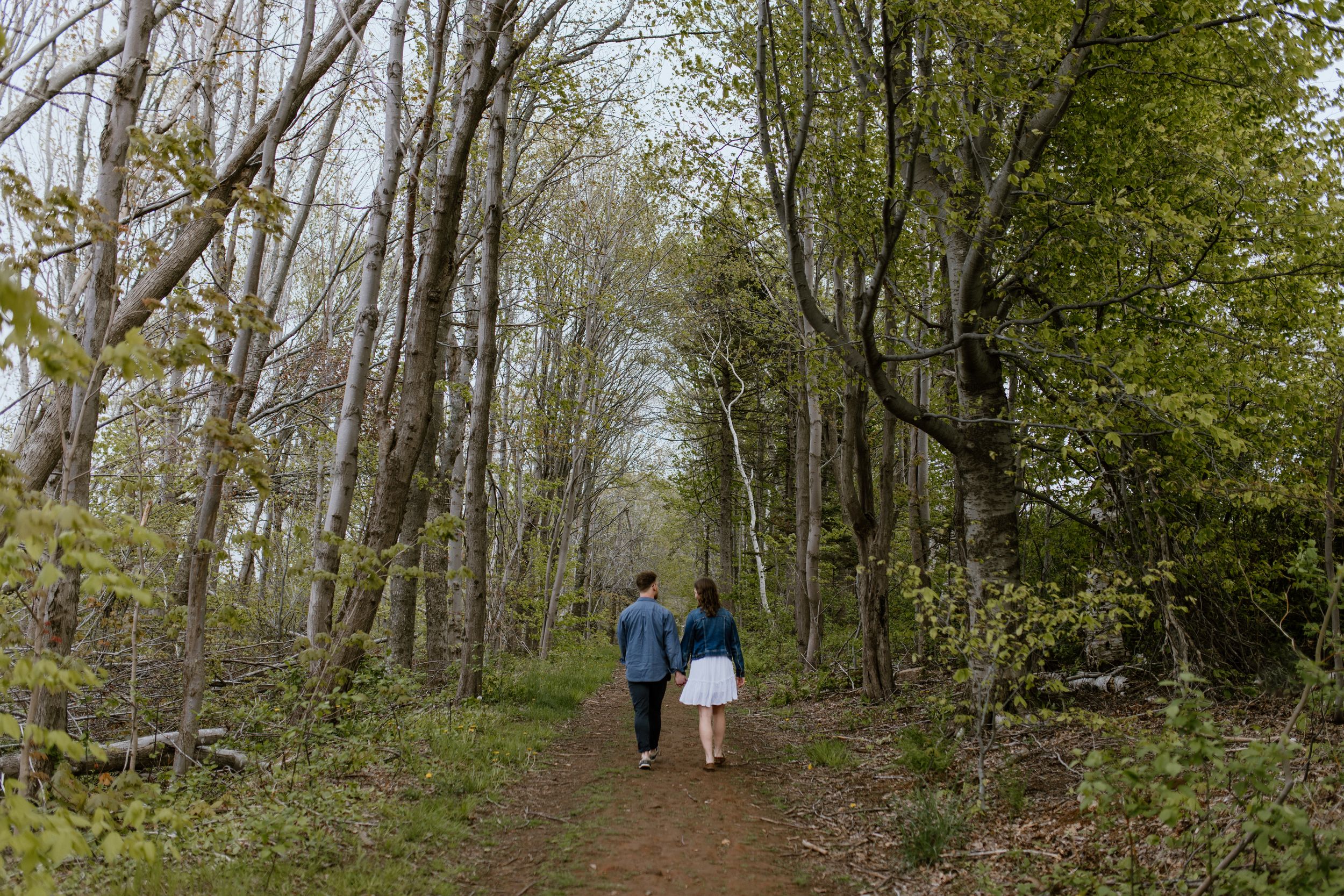 Engagement session at Wrights Creek South Nature Trail in Charlottetown, PEI