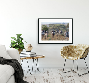 wall art of zebras walking away in Tanzania Africa