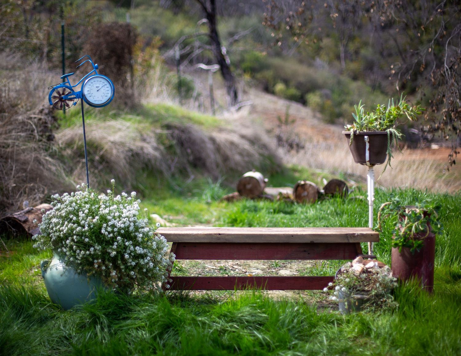 gunnii sack photography, calaveras county photographer, family photos calaveras county, spring mini sessions