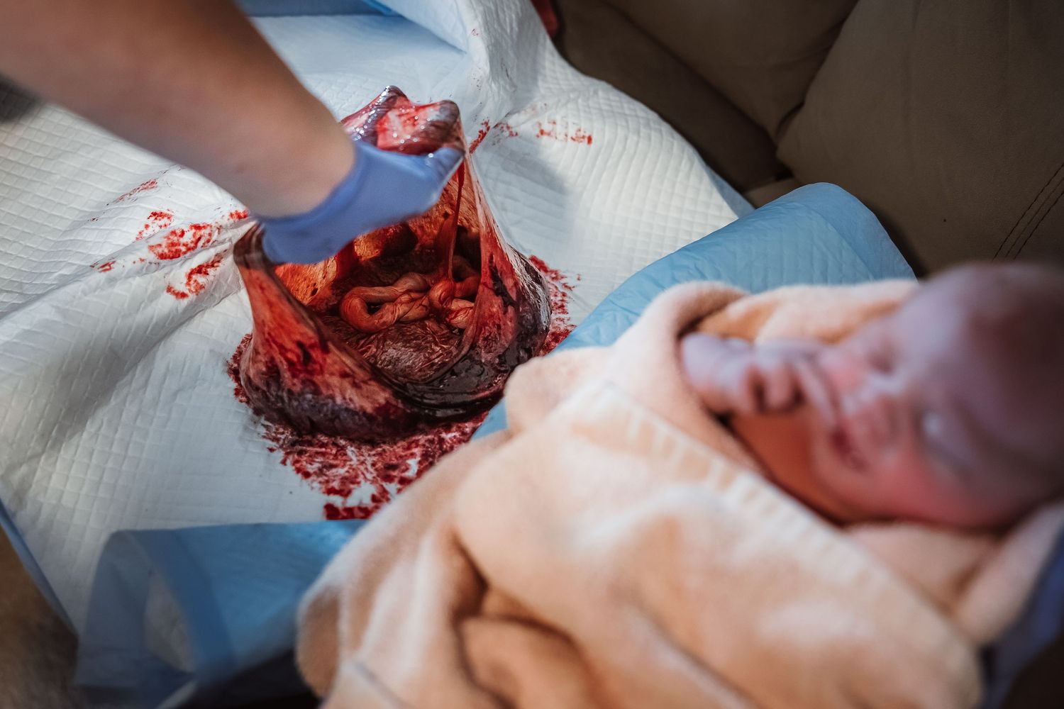 Auckland Birth Photographer