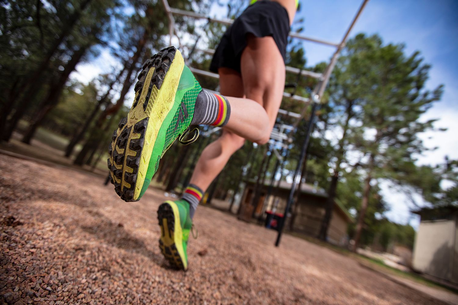 Investment The OCR Report