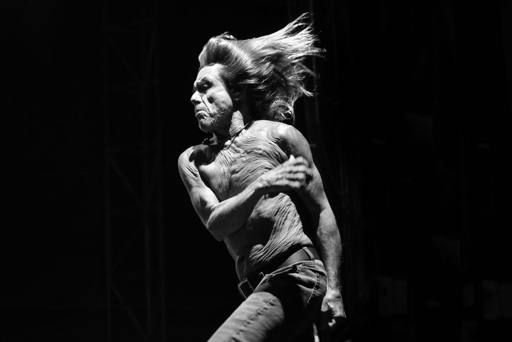 Iggy Pop © Jackie Butler Photography