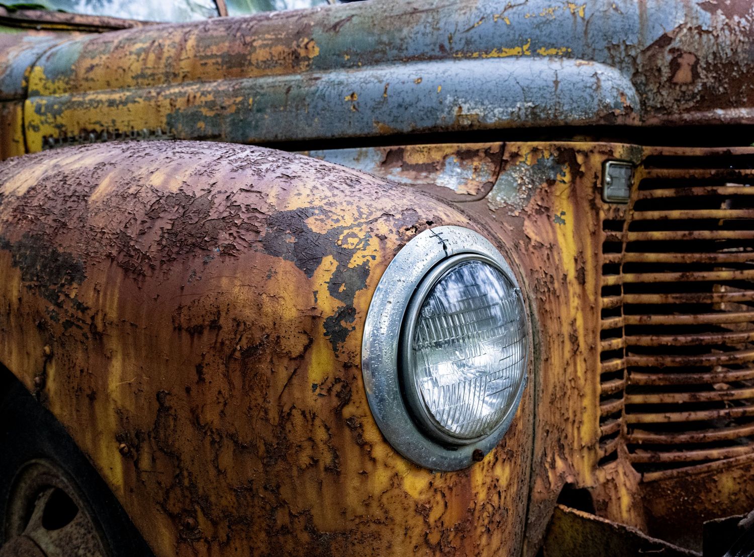 Close-up of rusty vintage truck showing weathered paint and patina details.