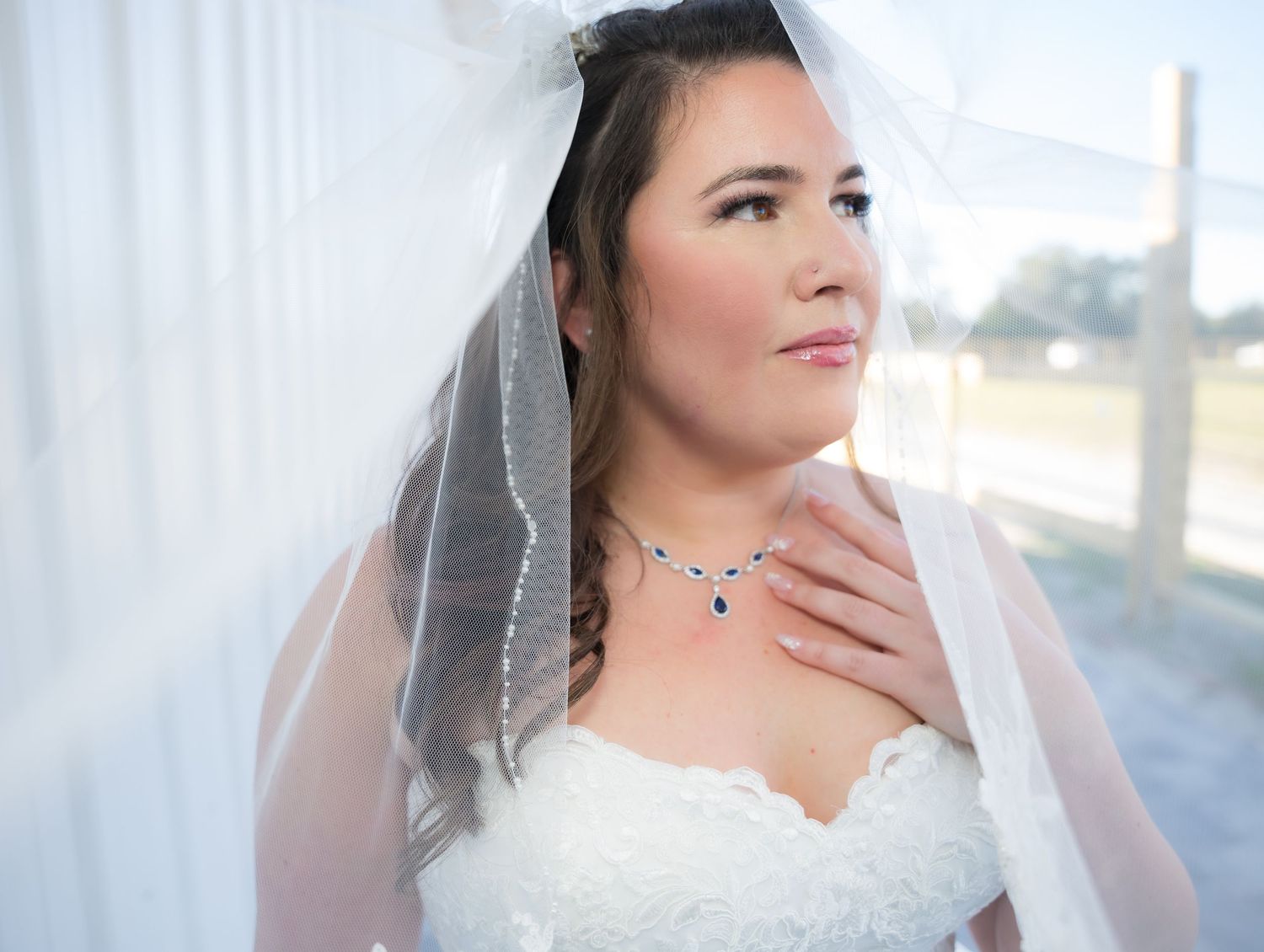 Delicate veil and lace details captured in romantic bridal portraits.