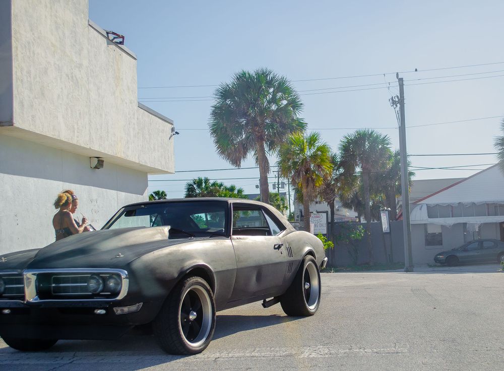 Vintage black muscle car parked on street with palm trees in background.