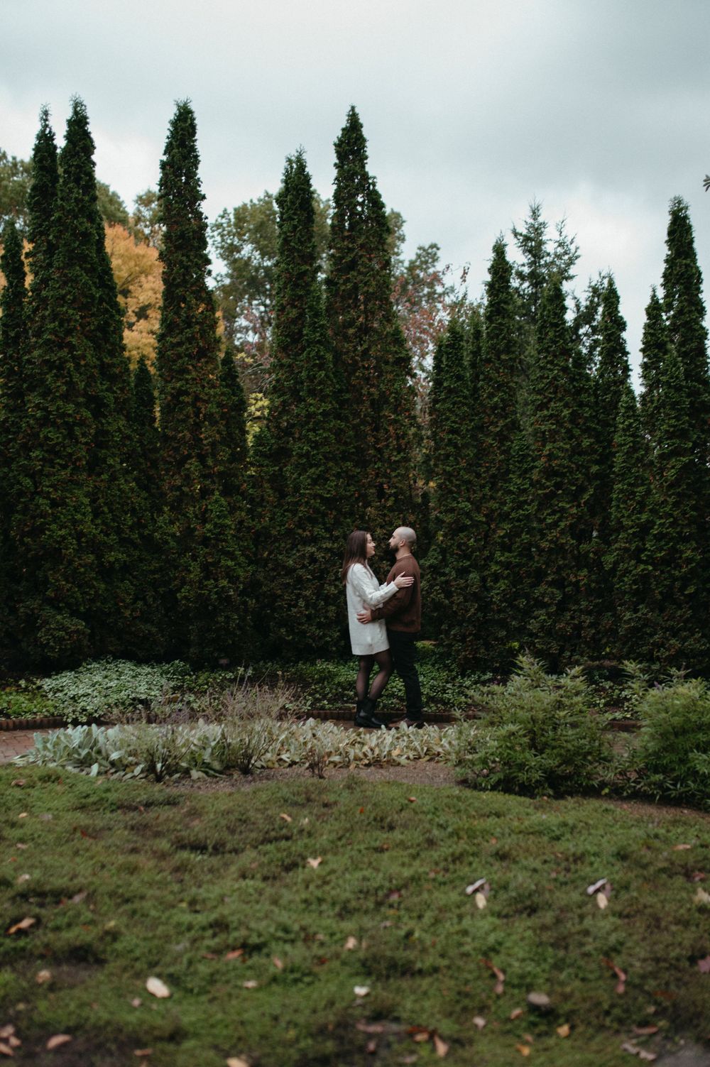 Two figures standing near tall evergreen trees on a cloudy autumn day.